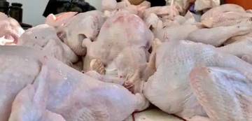 Harga Ayam Potong di Kerinci Stabil, Pembeli Tenang