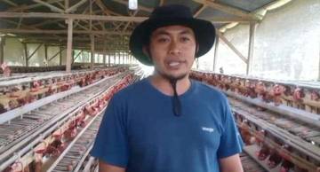 Harga Telur Ayam Ras di Kerinci Masih Normal