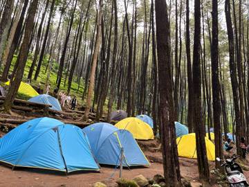 Rekomendasi Tempat Glamping di Indonesia serta Perbedaannya dengan Camping