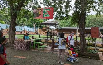 Libur Paskah, 10 Ribu Orang Kunjungi Kebun Binatang Surabaya