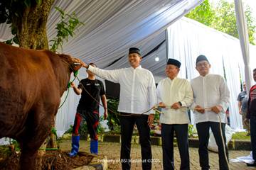 BSI Distribusikan 10 Ribu Hewan Kurban 