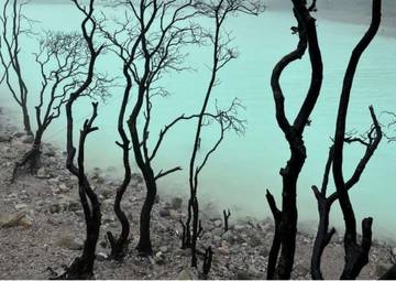 Kawah Putih, Pesona Alam Ciwidey