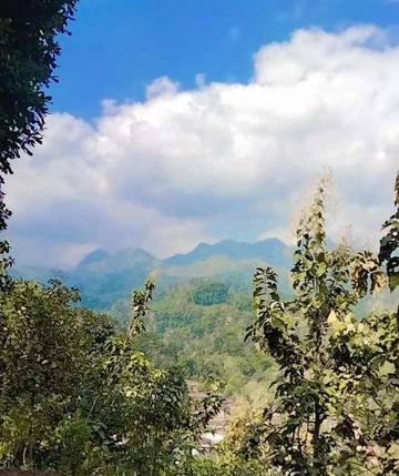Menjelajah Desa Gumeng: Keindahan Tersembunyi Mojokerto