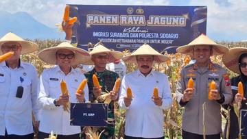 Imigrasi Dorong Ketahanan Pangan Lewat Panen Jagung
