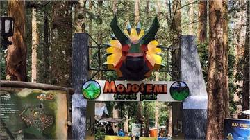 Ayo Liburan Seru Sambil Belajar di Mojosemi ForestPark