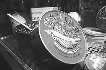 Caviar Makanan Mewah dengan Rahasia Gizi Tersembunyi