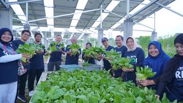 Riset Berhasil, Rektor ITS Pimpin Panen Raya Agrivoltaic