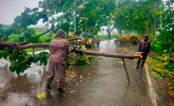 Akibat Angin Kencang, Pohon Tumbang Tutup Akses Jalan