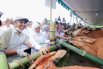 Jatim Distribusikan 453 Ribu Dosis Vaksin PMK Tahap Pertama