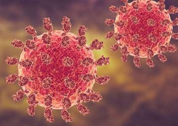 Kenali Virus Nipah di Asia