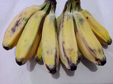 Dibalik Pisang Kepok yang Kaya Manfaat