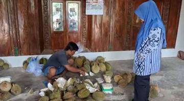 Panen Durian Turun, Petani Terpaksa Naikkan Harga Jual