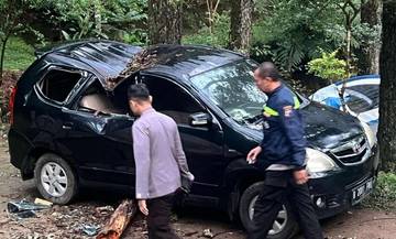 Tak Hanya Tewaskan Pengunjung, Pohon Tumbang di Sekipan Juga Timpa Mobil