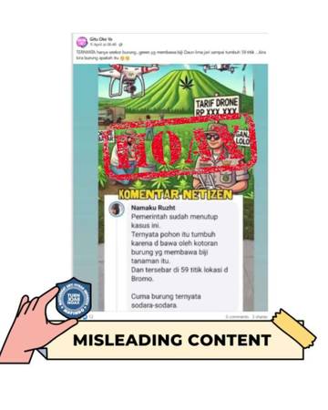Hoax, Pemerintah Tutup Kasus Ladang Ganja di Bromo