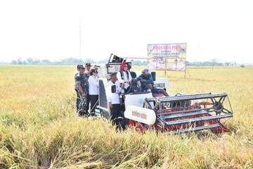 Bupati, Forkopimda, Kementan Panen Raya di  Sukoharjo