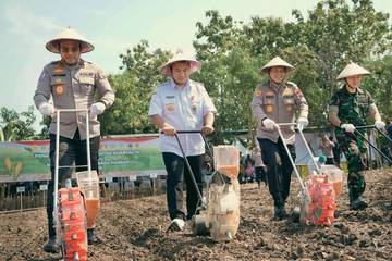 Sinergitas Lintas Sektor Wujudkan Kemandirian Pangan