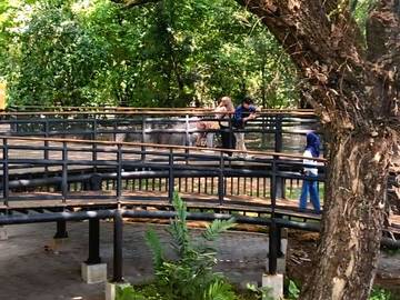 Sejarah Singkat Serta Menikmati Asrinya Taman Balekambang