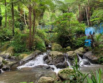 Suasana Asri Air Terjun Coban Siuk di Malang