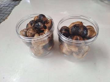 Manfaat Black Garlic sebagai Pangan Fungsional Alami