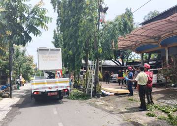 Pangkas Dahan, Warga Sragen Malah Tewas Kesetrum