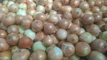 Kenapa Chef Suka Bawang Bombay?