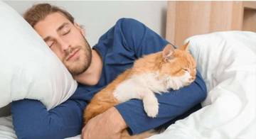 Dengkuran Kucing Bermanfaat bagi Kucing dan Pemiliknya