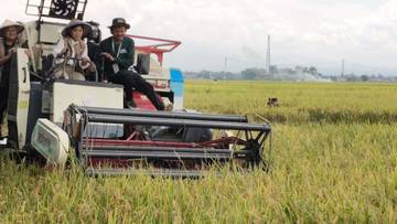 Sragen Jadi Tumpuan Swasembada Beras Nasional 2026