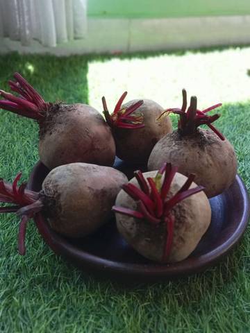 Buah Bit, Si Merah Kaya Manfaat untuk Wanita