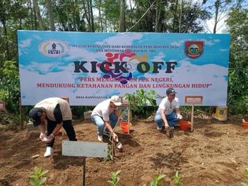Bunga Matahari Jadi ikon Baru Desa Banyuanyar-Boyolali  .