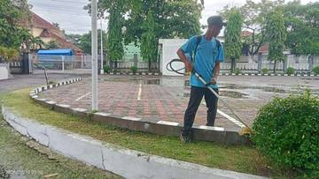 Perawatan Rumput Taman agar Tetap Hijau dan Sehat