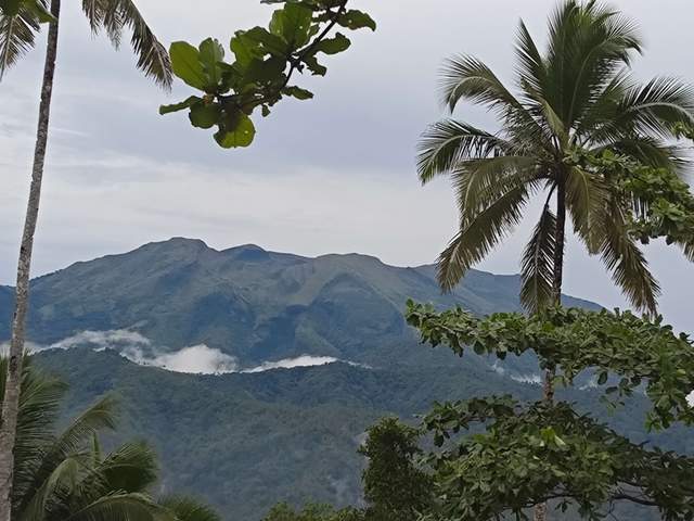 Gunung Awu  Sangihe Mulai  Bergetar  Secara Senyap