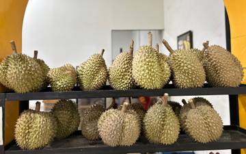 Raja Buah Tropis yang Populer dan Enak