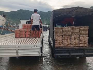Pasokan Telur Ayam Manado Tiba di Tahuna