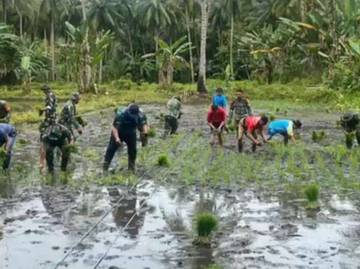 Petani Ujung Tombak Sukseskan Swasembada Pangan Di Daerah