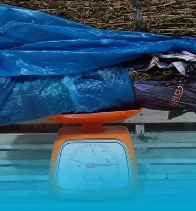 Satresnarkoba Polres BM Berhasil Amankan Pengedar Ganja