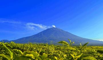 Ini Gunung Berapi Yang Masih Aktif di Sumatera