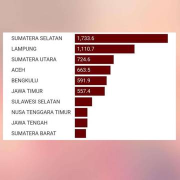 Sumatera Selatan dan Lampung Dua Provinsi Penghasil Kopi Terbesar di Indonesia