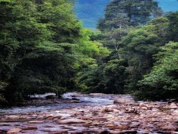 Mengenal Sejumlah Tempat Wisata di Aceh Tenggara