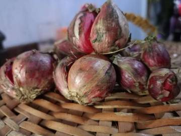 Harga Bawang Merah Turun di Aceh Tengah