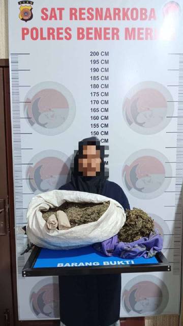 Seorang Nenek di Bener Meriah Ditangkap Polisi, Diduga Jual Ganja