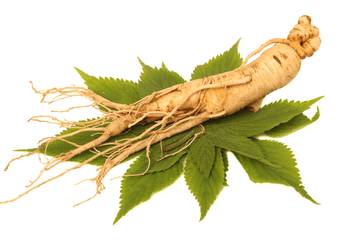 5 Herbal Ini Bantu Jaga Fokus Saat Berpuasa