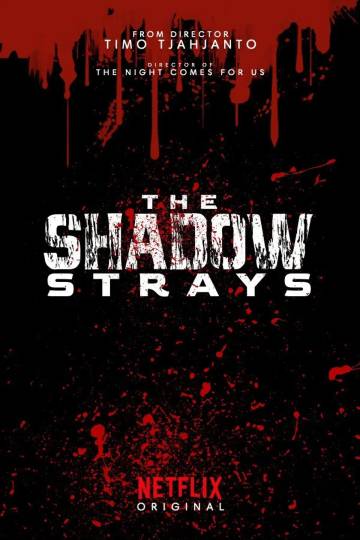 Film Indonesia The Shadow Strays Mendunia, Menembus Hollywood