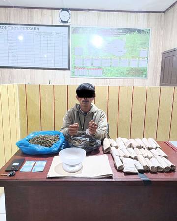 Miliki Ganja, Pemuda di Bener Meriah Diamankan Polisi