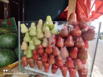 Jambu Air Primadona di Takengon, Harganya Bikin Penasaran!