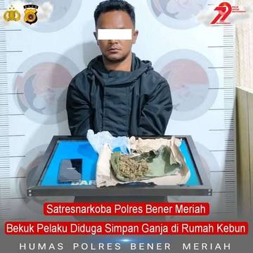 Simpan Ganja, Pemuda Bener Meriah Dibekuk Polisi