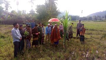 Berume, Tradisi Gotong Royong Pertanian Suku Gayo
