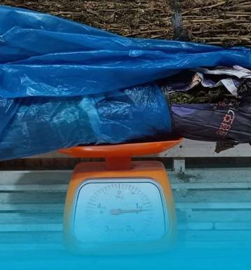 Satresnarkoba Polres BM Berhasil Amankan Pengedar Ganja