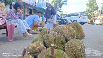 Banjir Durian, Manisnya Panen, Pahitnya Harga