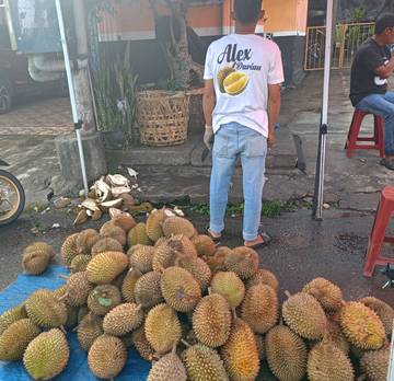 Panen Raya Durian, Pedagang Bermunculan Harga Bersahabat