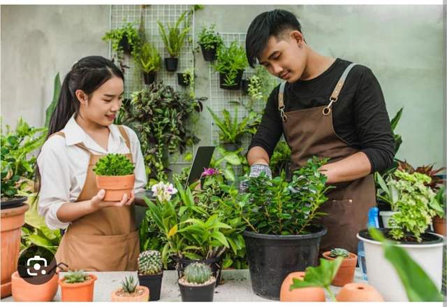  Manfaat Berkebun Di Rumah